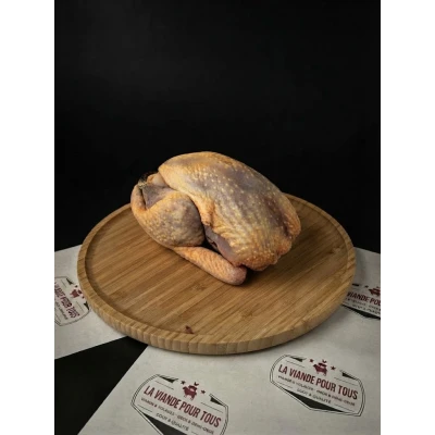 Pintade Fermière Visuel 1 principal